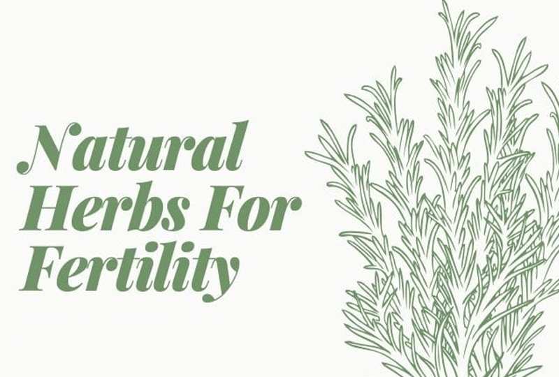 fertility herbs